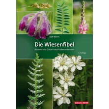 Die Wiesenfibel: Blumen Und Gräser Nach Farben Erkennen
