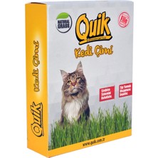 Quik Gerçek Topraklı Kedi Çimi