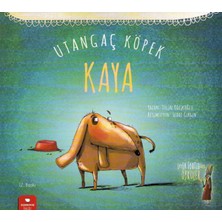 Red House Utangaç Köpek Kaya