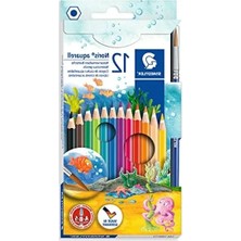 Aesco 12'li Kuruboya Fırça Seti, Hediyeli Color Aquarell Kalem