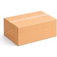 Aesco 30X20X10 cm Boyutunda Çift Oluklu Taşıma Kutusu, 10 Adet Set