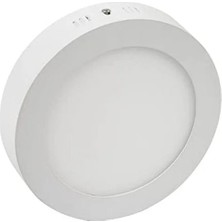 Aesco 30 Watt Gün Işığı LED Panel Işık, Sıva Üstü Montaj