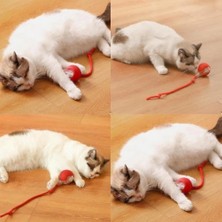 Aesco Şarjlı Kedi Oyuncağı