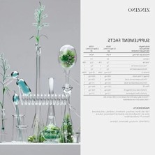 Aesco Portakal Limon Nane Aromalı Balık Yağı, 100 ml