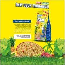Aesco Kuş Max Menu Tropikal Meyveli Muhabbet Kuşu Yemi 500 gr