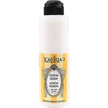 Aesco Su Bazlı Akrilik Yarı Mat Vernik 250 ml