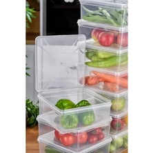 Aesco Arel - 15'li Set Saklama Kabı, 10 Adet 500ML Mini Boy Dikdörtgen ve 5 Adet 2500ML Kare Şeffaf Kendinden Kapaklı Saklama Kabı, Bpa Içermez, Buzdolabı, Dondurucu ve Dolap Organizeri