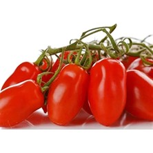 Aesco 20 Adet San Marzano Domates Tohumu ile Verimli Bahçe Yetiştiriciliği