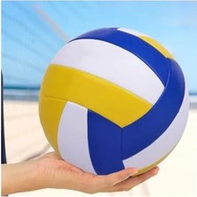 Aesco Dikişli Voleybol Topu - Yumuşak Deri ile Üretilmiştir