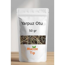 Mucize Tıp Yarpuz Otu Dökme 50 gr
