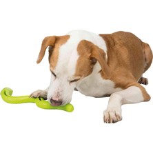 Trixie Köpek Ödül Oyuncağı, Yeşil Yılan, Tpr, 42CM
