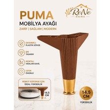 Rene Home 14,5 cm Puma Mobilya Ayağı (Ceviz-Altın)Robot Süpürge Uyumlu Baza,koltuk,tv Ünitesi,mobilya ,dolap Ayağı