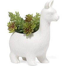 Kikkerland Vazo Lama