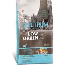Spectrum Lg Somon Hamsi Yaban Mersini Mini Irk Yavru Köpek 2,5 Kilogram