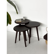 Fagus Wood Doğal Masif Yörünge Sehpa Seti - 3'lü Zigon Yuvarlak Modern Takım (Yan, Dekoratif Sehpa) (Cevi