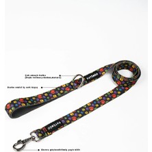 Patimio Paws Model Lüx Köpek Gezdirme Tasması