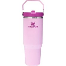 Aesco Çiçek Desenli Pipetli Termos Bardak, 0.89 Litre Kapasite