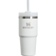 Stanley Quencher H2.0 Flowstate Paslanmaz Çelik Vakum Yalıtımlı Bardak Kapaklı ve Pipetli Su, Buzlu