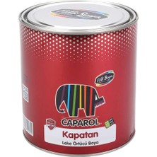 Filli Boya Filli Caparol Kapatan Leke Örtücü Boya 2,5lt