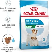 Royal Canin Mini Starter Mother&babydog Küçük Irk Yavru Köpek Maması 4kg Puppy Dog Food