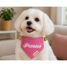 Patimio Isimli Pink Tasma Fular Bandana