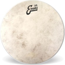 Evans Calftone Tom 13 Inch - TT13C7 Tom Derisi