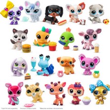 Pet Shop Tekli Paket S4
