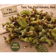 Kaya ve Demir 1 kg Taze Yaş Fındık – Yeşil Kabuklu Ham Fındık – Yeni Mahsul Iri Taneli Kara Fındık Ordu Mahsülü