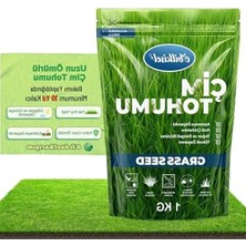 Aesco 1 kg Çok Yıllık Çim Tohumu, Gölge ve Güneşli Alanlara Uygun Yeşil Karışım