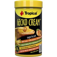 Tropical Gecko Cream Apricot Kayısılı Gecko Yemi 100ML 50GR