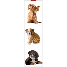 Legami Dogs