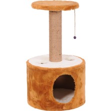 Mio Kedi Tırmalama, Roll, Kahverengi