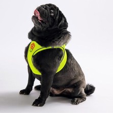 Pawstar Neon Sarı Air-Mesh Göğüs Tasması Kedi Köpek Göğüs Tasması Neon Sarı M