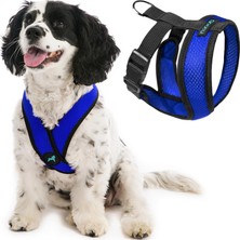 Gooby - Comfort x Kafa Takımı, Boğulmaz, Küçük Köpek Tasması, Mikro Süet Süslemeli ve Patentli x Çer