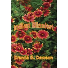 Createspace Indian Blanket