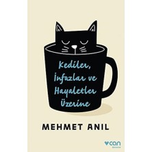 Can Kediler Infazlar ve Hayaletler Üzerine