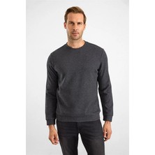 Süvari Antrasit Regular Düz Bisiklet Yaka Sweatshirt
