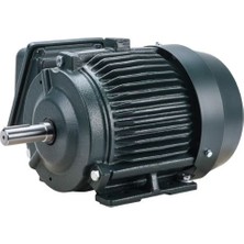 Gümrük Bey Toshiba Eqp Global Sd 2 Hp 1.5 Kw 1750 Rpm Nema 145T Elektrik Motoru (0024SDSR41A-P)