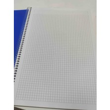 Flex A4 Kareli 100YP.