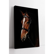 Mushen Studio Kahverengi At Portresi  Equestrian Zarafet ve Gücü Temsil Eden Duvar Dekoru Kanvas Tablo Duvar Dekor