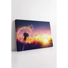 Mushen Studio Gün Batımı Işığında Karahindiba Fotoğraf  Renkli Atmosfer Sanatsal Dekoratif Tasarım Kanvas Tablo Du