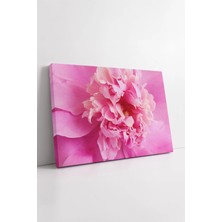 Mushen Studio Pembe Çiçek Yakın Çekim Soft Tonlarda Zarif Detaylı Modern Dekoratif Sanatsal Kanvas Tablo Duvar Dek
