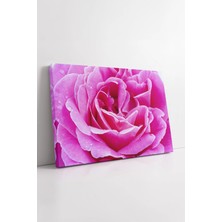 Mushen Studio Pembe Gül Yakın Çekim Detaylı Soft Tonlarda Modern Romantik Çiçek Temalı Dekoratif Kanvas Tablo Duva