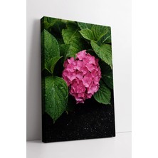 Mushen Studio Doğal Bahçe Atmosferli Pembe Ortanca Çiçek Detaylı Modern Dekoratif Kanvas Tablo Duvar Dekoru Salon