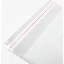 Aesco 100 Adet Kendinden Yapışkanlı Şeffaf Poşet, 13X17 Cm, Kargo ve Ambalaj Için