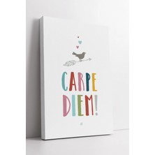 Mushen Studio Carpe Diem Yazılı Renkli Minimal Tipografi  | Modern Ev Ofis Duvar Dekoru Kanvas Tablo Duvar Dekoru