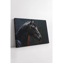 Mushen Studio Yağmur Altında Islak At Portresi Gerçekçi Detaylı Doğal Tonlarda Modern  Dekoru Kanvas Tablo Duvar D