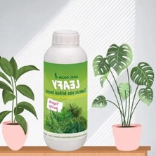 Aesco 100 ml Sıvı Besin Gübre, Çiçeksiz Bitkiler Için Besleyici Çözüm