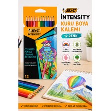 ArtMaster 12 Li Kuru Boya Kalemi Karton Kutu 1 Paket Bic Intensity 12 Renk Kuruboya Tam Boy Canlı Renkli Boya Kalem Okul Öğrenci