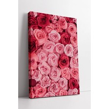 Mushen Studio Pembe ve Kırmızı Gül Duvar Düzeni Temalı Modern Romantik Dekoratif Sanatsal Kanvas Tablo Duvar Dekor